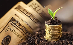 公益植树有助于振兴农村振兴